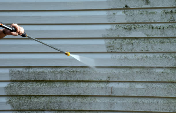 Pressure Washing Contractors in Duluth, WA