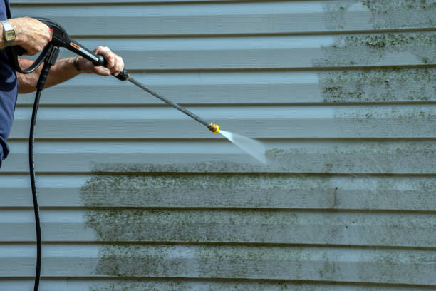Best Residential Pressure Washing Services  in Duluth, WA
