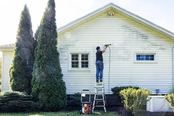 Fence Pressure Washing in Duluth, WA