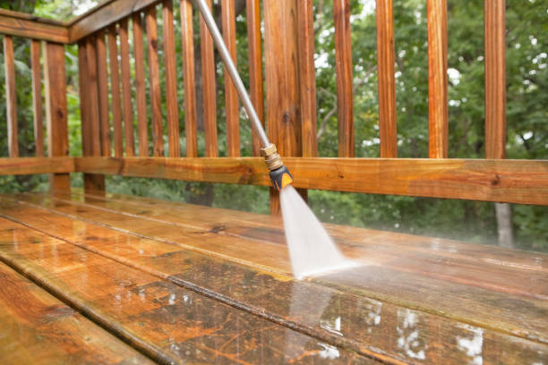 Best Commercial Building Pressure Washing  in Duluth, WA