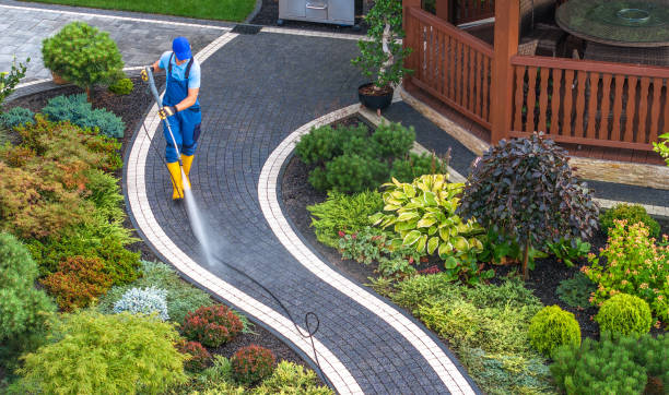 Best Pressure Washing Driveway  in Duluth, WA